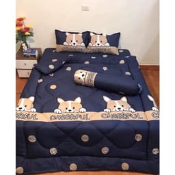 Thumbnail Bộ chăn ga gối Cotton poly Bo Decor chăn phao nhẹ đắp 4 mùa 2