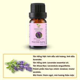 Thumbnail Tinh dầu Oải Hương (Lavender) TAMAS 10ml thơm phòng, thư giãn 3