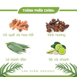Thumbnail Nước Lau Bàn Thờ Cao Cấp – Tinh Dầu Quế & Thảo Mộc | Tẩy Uế, Làm Sáng Lư Đồng, Khử Mùi, Gia Tăng Vượng Khí 3