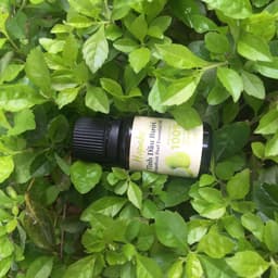 Thumbnail Tinh Dầu Bưởi Nguyên Chất Hapaku Kích Thích Mọc Tóc, Cung Cấp Dưỡng Chất 10ml 3