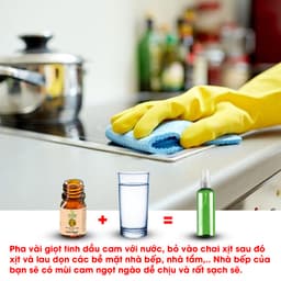 Thumbnail Tinh dầu Cam Ngọt nguyên chất TAMAS, tinh dầu thơm phòng, khử mùi, thanh lọc không khí, giảm căng thẳng mệt mỏi 3