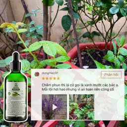 Thumbnail Dầu neem oil DOCNEEM hữu cơ phòng trị sâu bệnh hoa hồng, phong lan, cây cảnh, nguyên chất ép lạnh, hàng chính hãng 100ml 1
