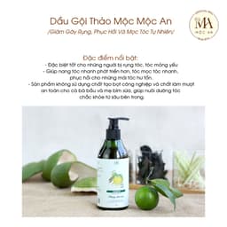 Thumbnail Dầu Gội Thảo Mộc Mộc An Giảm Gãy Rụng, Phục Hồi Và Mọc Tóc Tự Nhiên 300g 2