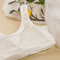 Thumbnail Áo lót học sinh Purecotton cho bé gái mới lớn chất liệu cotton kiểu dáng chui đầu - đệm mỏng PC010 4