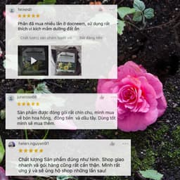 Thumbnail Phân bón hữu cơ rong biển DOCNEEM túi 1kg, kết hợp neem cake kích rễ mầm lá, cho Hoa hồng, phong lan, cây cảnh, rau sạch 3