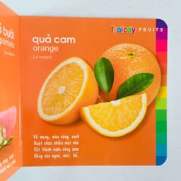 Thumbnail Sách – Bé Khám Phá Môi Trường Xung Quanh - Cuốn lẻ 4