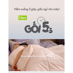 Thumbnail Ruột Gối Đầu 5S (màu ngẫu nhiên) (Thấp-Mềm) 3