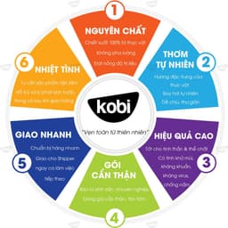 Thumbnail Tinh dầu Kobi Rain Forest essential oil blend giúp thư giãn, sảng khoái -5ml 2