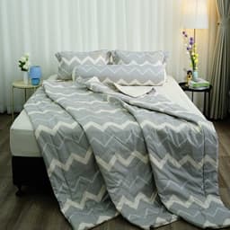 Thumbnail |HÀNG TỒN XẢ KHO| Chăn trần bông Everon Lite 200x220 (cm) ELM Collection 3 1