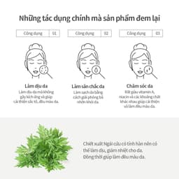Thumbnail Chiết xuất ngải cứu 150ml | Artemisia Capillaris Extract Toner 2