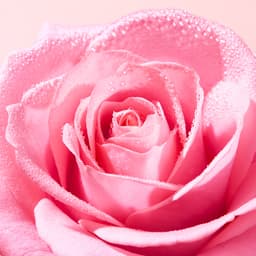 Thumbnail Xịt khoáng dưỡng ẩm Nuxe Very Rose 200ml 3