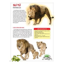 Thumbnail Sách - Atlas Động Vật - Vương Quốc Động Vật 1