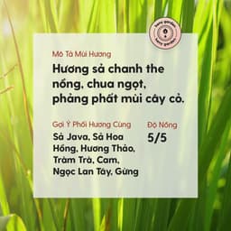 Thumbnail Tinh Dầu Sả Chanh Organic Nguyên Chất Đậm Đặc Xông Thơm Phòng, Làm Nến Thơm Thiên Nhiên, Giúp Dễ Ngủ Heny Garden 10mL 2