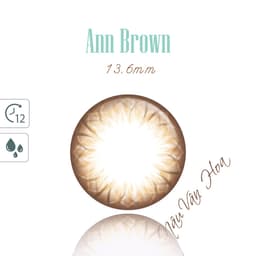 Thumbnail Lens 1 Ngày ANN365 Màu Nâu Đậm Ann Brown Giãn Tròng Cho Mắt Cận Loạn 2