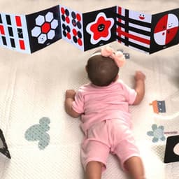 Thumbnail Thẻ Gấp Ziczac Và Flashcard Lalala Baby Kích Thích Thị Giác Cho Trẻ Sơ Sinh Đến 1 Tuổi 1