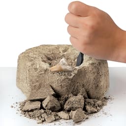 Thumbnail Bộ Đồ Chơi DISCOVERY Khảo Cổ Truy Tìm Răng Cá Mập 2Pc 1423004791 2