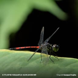 Thumbnail Ống kính Fujinon XF18-135mmF3.5-5.6 R LM OIS WR 3