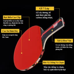 Thumbnail Bộ 2 Vợt Bóng Bàn 5 Sao Tặng 3 Quả Bóng Bàn Chính Hãng Amalife – Bộ Bóng Bàn Kèm 3 Quả Bóng 3 Sao Chuẩn Quốc Tế 4