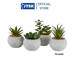 Thumbnail Cây hoa trang trí |JYSK Bror | xi măng/nhựa | xanh/xám | DK7xC9cm 3