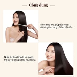 Thumbnail Bộ sản phẩm dầu gội thảo dược+ xịt bưởi kích mọc+ kem ủ tóc tráng gương combo 5 vyvyhaircare V 645ml / 680ml 3