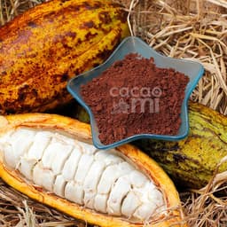 Thumbnail Thức uống socola Bột ca cao nguyên chất 100% gu đậm Cacao Mi Premium đặc sản Việt Nam chuẩn UTZ 127g 3
