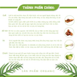 Thumbnail Nước lau nhà quế đậm đặc AN AN, đuổi muỗi và côn trùng hiệu quả với dung tích 1000 ml 3