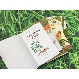 Thumbnail Sách - Từ những hạt mầm 5 cuốn - nxb kim đồng 2