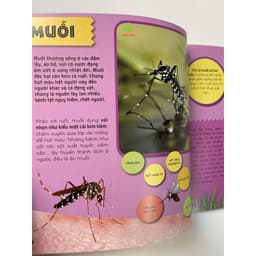 Thumbnail Sách – Bí Ẩn Thế Giới Loài Vật : Côn Trùng - Thú – Chim – Bò Sát & Lưỡng Cư - Thân mềm & Giáp Xác - Cá 3