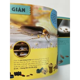 Thumbnail Sách – Bí Ẩn Thế Giới Loài Vật : Côn Trùng - Thú – Chim – Bò Sát & Lưỡng Cư - Thân mềm & Giáp Xác - Cá 2