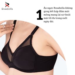 Thumbnail Áo Lót Không Gọng Đệm Mỏng ROSABELLA Nâng Ngực Tự Nhiên Chất Vải Cao Cấp Phối Lưới Sang Trọng RW23 3