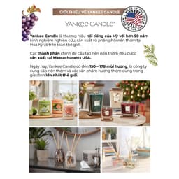 Thumbnail Nến thơm Sáp đậu nành Elevation Yankee Candle (tùy chọn size & mùi hương) 1