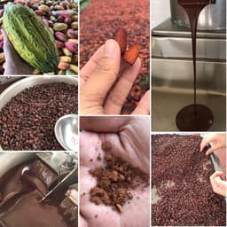 Thumbnail Cacao mass CacaoMi nguyên liệu sô cô la handmade từ hạt ca cao 100% nguyên chất không đường 250-500g 4