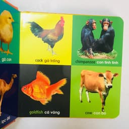 Thumbnail Sách – 101 First Words 101 Từ Đầu Tiên: Thực vật - Giao thông - Bảng chữ cái - Hình dạng màu sắc - Đồ dùng thân thiết 2