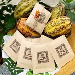 Thumbnail Set 4 gói dùng thử thức uống socola mix vị cafe, sữa dừa, chocolate, nguyên chất thơm ngon CACAOMI 2
