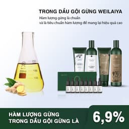Thumbnail Combo Dầu Gội Weilaiya 20ml và 2 Lọ Serum Mọc Tóc 5ml Ngăn Rụng Tóc Kích Thích Mọc Tóc 3