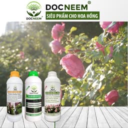 Thumbnail Chế phẩm đậu nành humic hữu cơ DOCNEEM, giàu đạm, bổ sung trứng, chuối, kích mầm hoa hồng, rau sạch, cây cảnh, chai 1L 3