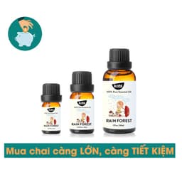 Thumbnail Tinh dầu Kobi Rain Forest essential oil blend giúp thư giãn, sảng khoái -5ml 4