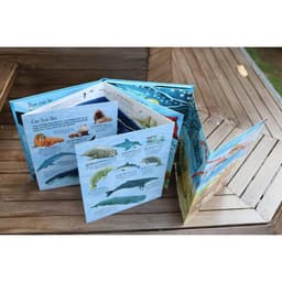 Thumbnail Sách tương tác - Big book - Cuốn sách khổng lồ - bộ 15 cuốn - mã lẻ 3