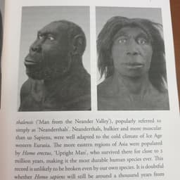 Thumbnail Sách Ngoại văn: Sapiens: A Brief History Of Humankind 2