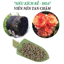 Thumbnail Phân bón hữu cơ rong biển DOCNEEM túi 1kg, kết hợp neem cake kích rễ mầm lá, cho Hoa hồng, phong lan, cây cảnh, rau sạch 2