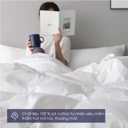 Thumbnail Bộ chăn ga 4 món Changmi Bedding 100% cotton lụa tự nhiên siêu mềm mịn tiêu chuẩn khách sạn 5 sao. 100% cotton bedsheet 2