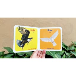 Thumbnail Sách - Thư Viện Hình Ảnh Đầu Tiên Cho Bé Nhận Biết Thế Giới Xung Quanh (10 Cuốn) 4