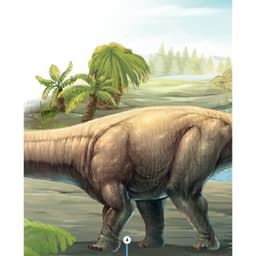 Thumbnail Sách-Kiến thức về khủng long-Cổ khủng long Mamenchisaurus dài bao nhiêu?Cơ thể khủng long chứa đầy bí mật 4