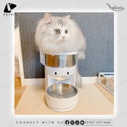 Thumbnail Máy Nhả Hạt, Cho Mèo Ăn Tự Động Petkit Fresh Element Dung Tích 3L BH 18 Tháng 4