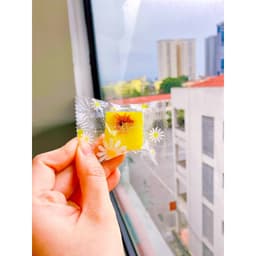 Thumbnail Đường phèn hoa cúc Dr Saffron - viên 15gr 1