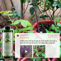 Thumbnail Dầu neem oil DOCNEEM hữu cơ phòng trị sâu bệnh hoa hồng, phong lan, cây cảnh, nguyên chất ép lạnh, hàng chính hãng 500ml 1