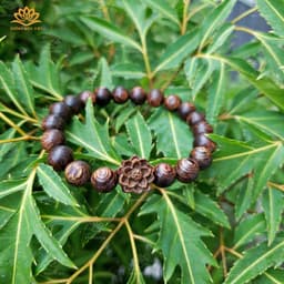 Thumbnail Vòng tay trầm hương hạt tròn mix hoa sen trầm Sánh Chìm mang bình an may mắn - Xưởng Mộc Việt 4