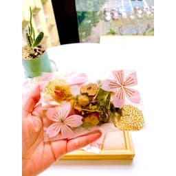 Thumbnail Trà Dưỡng Nhan 5 Vị (Hoa Cúc, Hoa Hồng,Táo Đỏ, Cỏ ngọt, Hoa Nhài) Gói 10gr 2