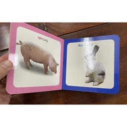 Thumbnail Sách-Từ điển hình ảnh cho bé ( chủ đề tự chọn) 4
