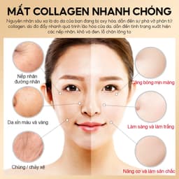 Thumbnail Kem Dưỡng Gấp Đôi Retinol VIBRANT GLAMOUR Chống lão hóa  Giảm nếp nhăn Làm sáng vết thâm Săn chắc da 30g 2